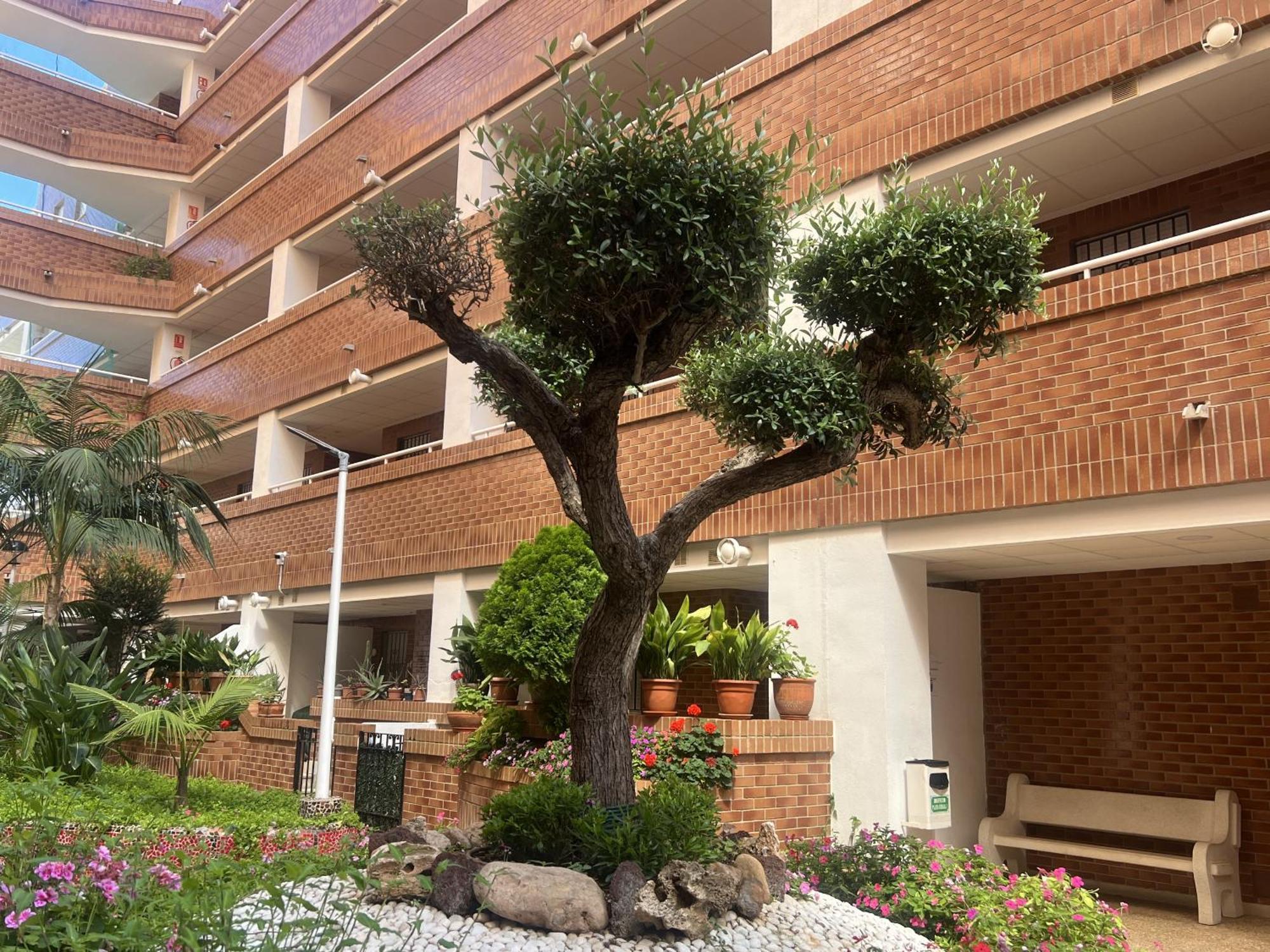Apartamentos Marina Park Oropesa del Mar Exteriér fotografie